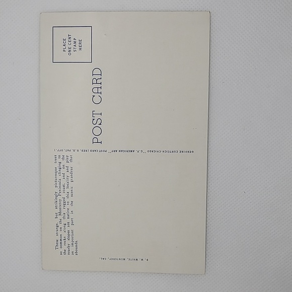 Cypress on 17 Mile Drive, Monterey Peninsula, California Vintage Postcard - Picture 2 of 6